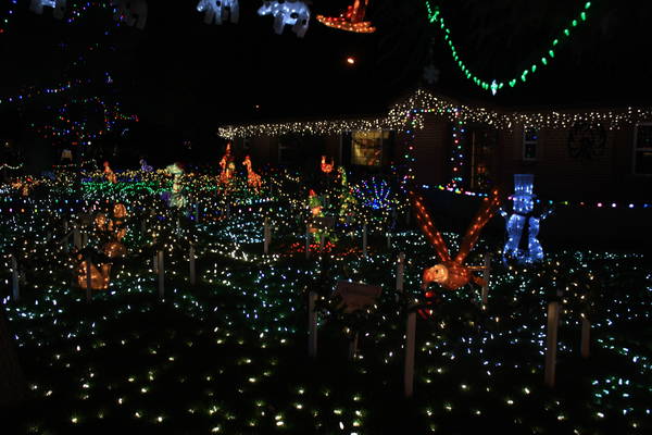 zoo exhibit at Winterhaven Festival of Lights 2014