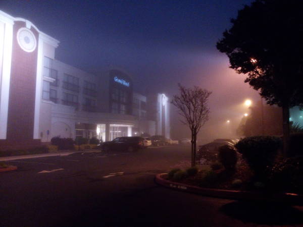 foggy morning in Sunnyvale, CA