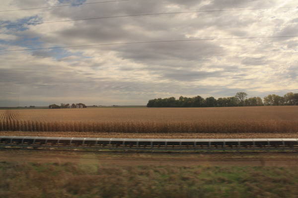 Illinois wheat farm