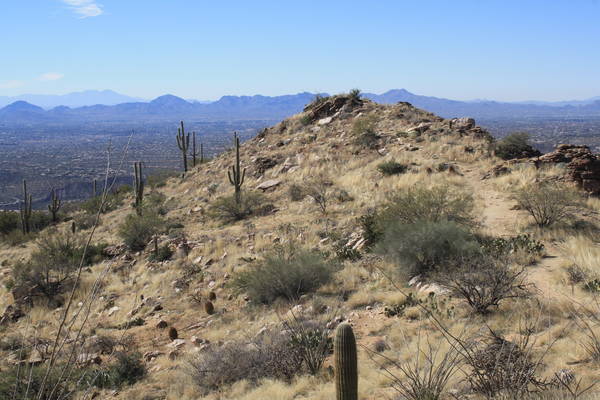 Blackett's Ridge Trail, 24JAN2015