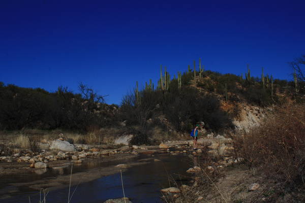 Sutherland Trail, 31JAN2016