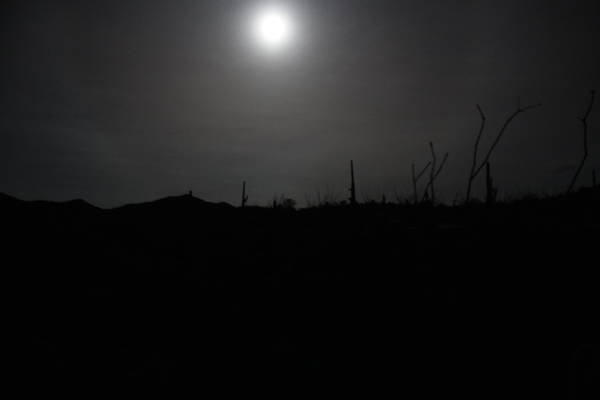 Wasson Peak in moonlight, 06OCT2014