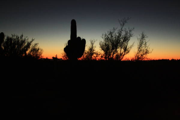 Catalina State Park in moonlight, 16OCT2013