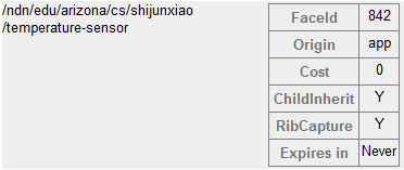 hobo RIB showing /ndn/edu/arizona/cs/shijunxiao/temperature-sensor prefix