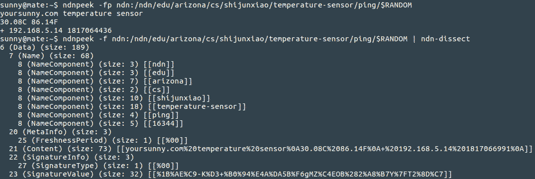 Data packet from the ESP8266 as seen by ndnpeek and ndn-dissect