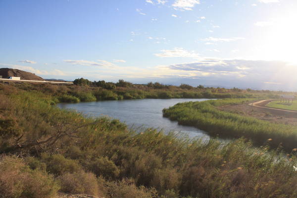 Colorado River bend at Yuma