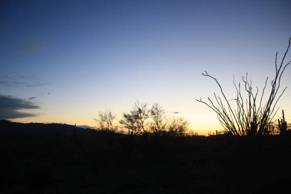 Sonoran Desert National Monument