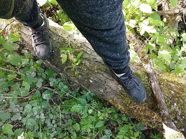 new hiking shoes are in action, but jogger pants are useless