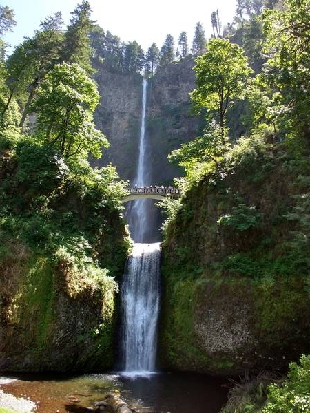 Multnomah Falls and Lower Multnomah Falls