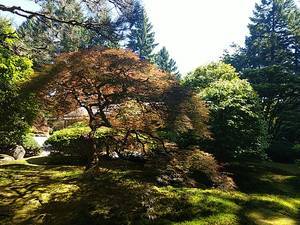 Portland Japanese Garden - flat garden