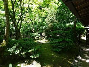 Portland Japanese Garden - tea garden