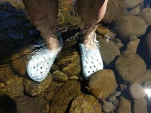 Crocs in Molalla River