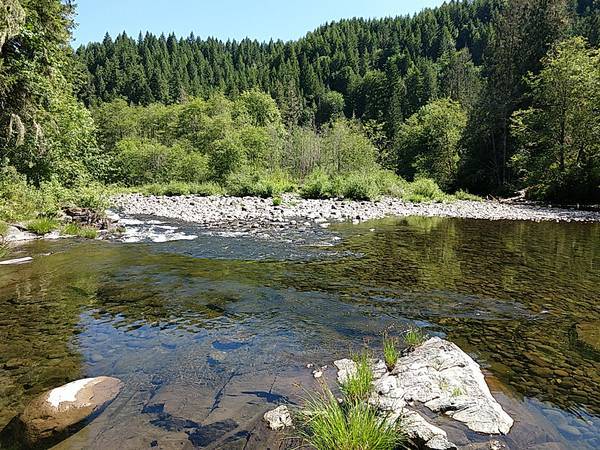 small island in Molalla River