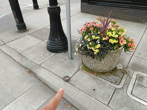 a horse ring in Oregon City downtown