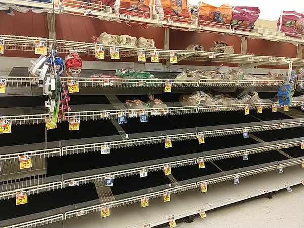 Giant Foods, 2020-03-15, bread shelf