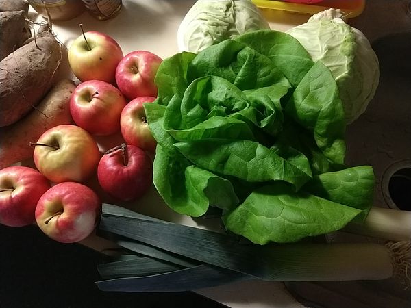 Tuckey's Farm, 2020-04-11, apples, leeks, lettuce, and cabbage