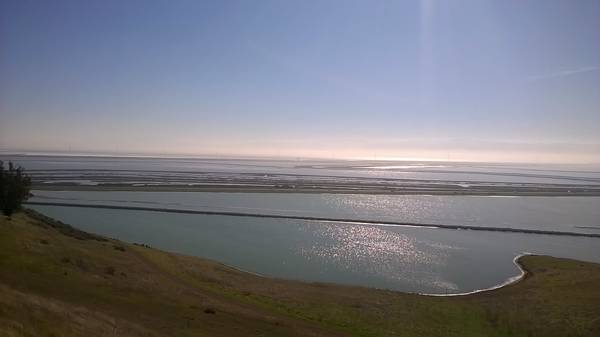 Coyote Hills Regional Park, 2016-11-13