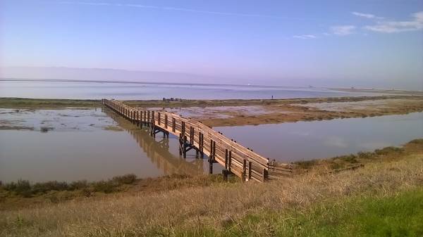 Don Edwards San Francisco Bay National Wildlife Refuge, 2016-11-13