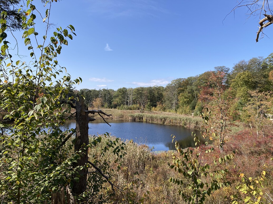 leaf peeping in Harriman State Park